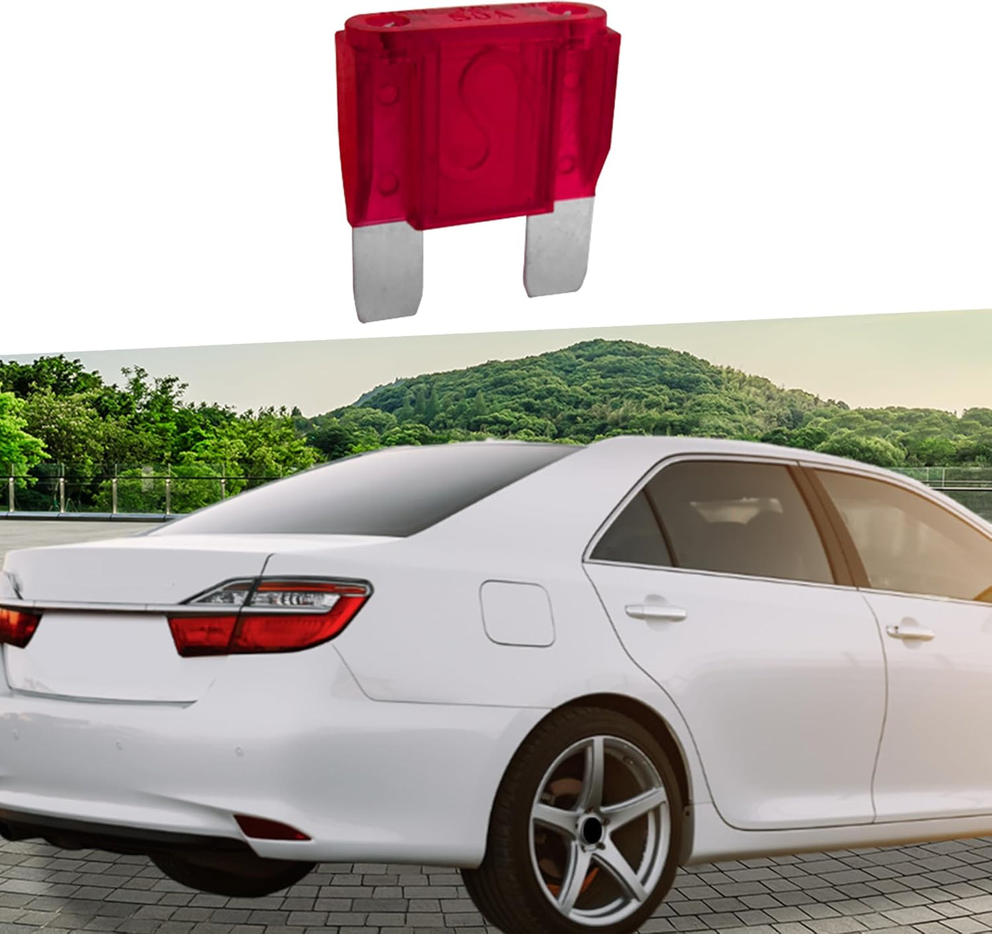 50 Amp Maxi Blade Sikring Bil Van Truck Sikringer Traktor - LifafaDenmark Aps